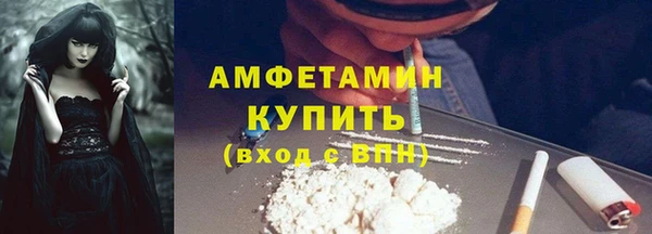 прущие грибы Гусиноозёрск