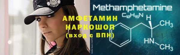 прущие грибы Гусиноозёрск