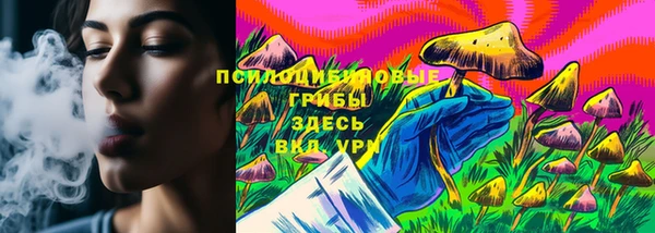соль ск Гусь-Хрустальный