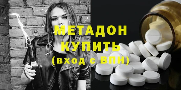 прущие грибы Гусиноозёрск