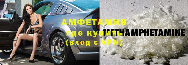 прущие грибы Гусиноозёрск
